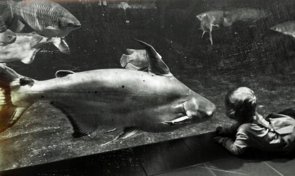 blackandwhite,bw,Berlin,dark,Zoo,aquarium