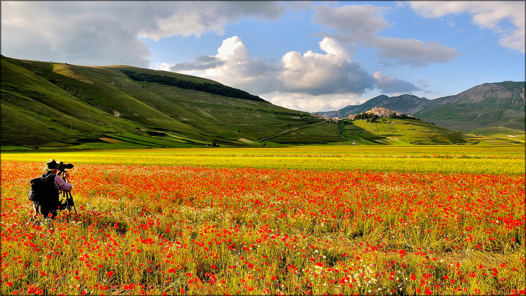 krajina, Itálie, kopec, Příroda, park, pole, ráno, Nikon, Umbrie, Drsný, 2013, plošina, národní, scenérie, podzim, hora, květ, lučina, rostlina, blinkagain, mygearandme, Italia, mák, pastvina, zemědělství, louka, di, prostý, mygearandmepremium, mygearandmebronze, mygearandmesilver, mygearandmegold, Fotografo, natura, parco, platinumheartaward, mygearandmeplatinum, mygearandmediamond, photographyforrecreationeliteclub, photographyforrecreation, d90, divoká rostlina, paesaggio, Monti, nazionale, Sibillini, prérie, Norcia, Castelluccio, fioritura, venkov, suchozemská rostlina, kvetoucí rostlina, horských reliéf, ekosystém