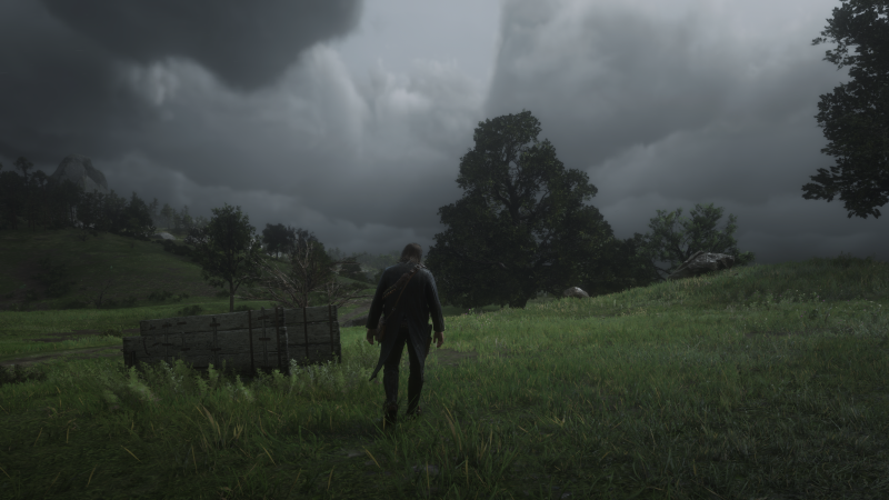 RDR2, Red Dead Redemption 2, Snímek obrazovky, videohry RDR2, Red Dead Redemption 2, Snímek obrazovky, videohry