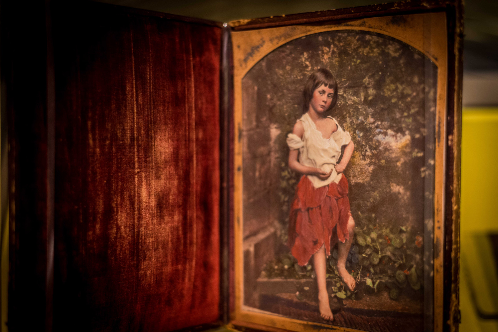 Alice Library Wallpaper : new, York, original, 50mm, prime, Alice, library ...