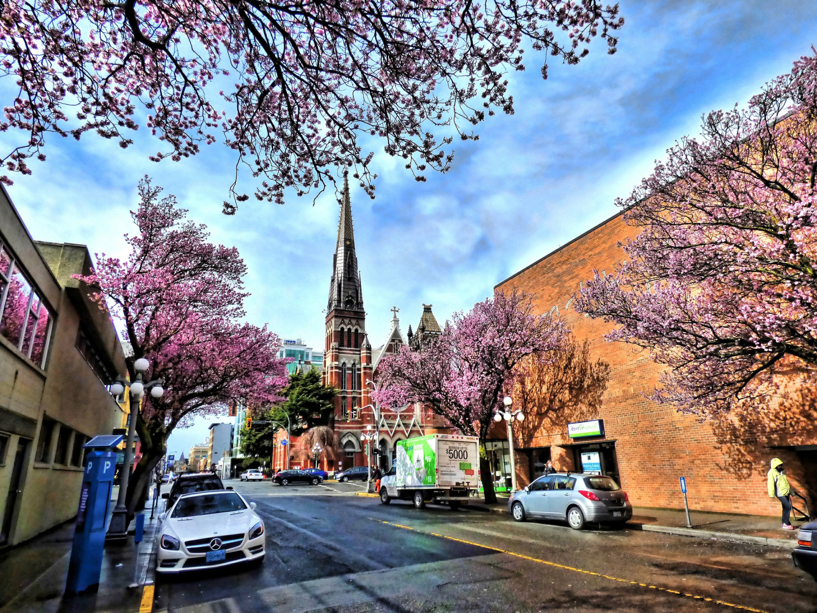 by, gade, himmel, vinter, vej, afdeling, HDR, cherry blossom, by, blomst, forår, træ, downtown, efterår, blomst, plante, sakura, milepæl, bane, victoriabc, byområde, turistattraktion, vedplante, kvarter, boligområde, sakurahanami, viewstreet