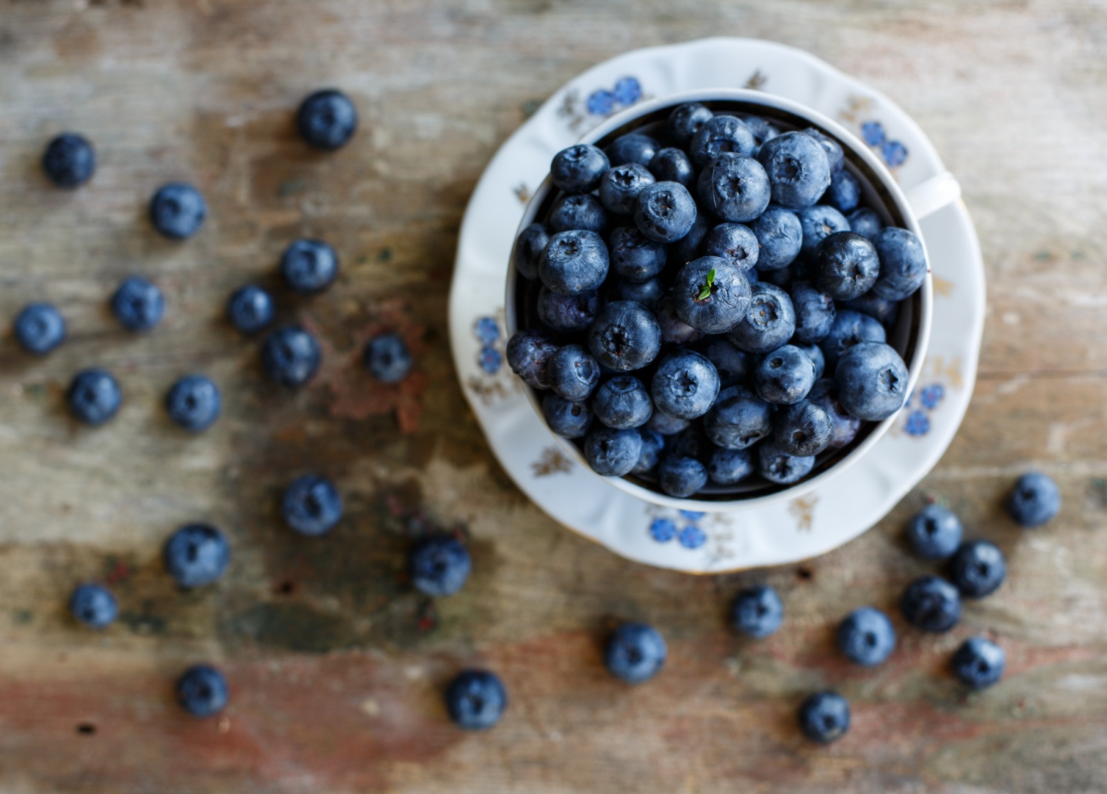 cibo, frutta, Canone, tazza, fresco, bacca, mora, mirtillo, canon5dmarkiii, produrre, frutti di bosco, mirtillo, FoodPhotography, foodphoto, Foodstyle, superfood