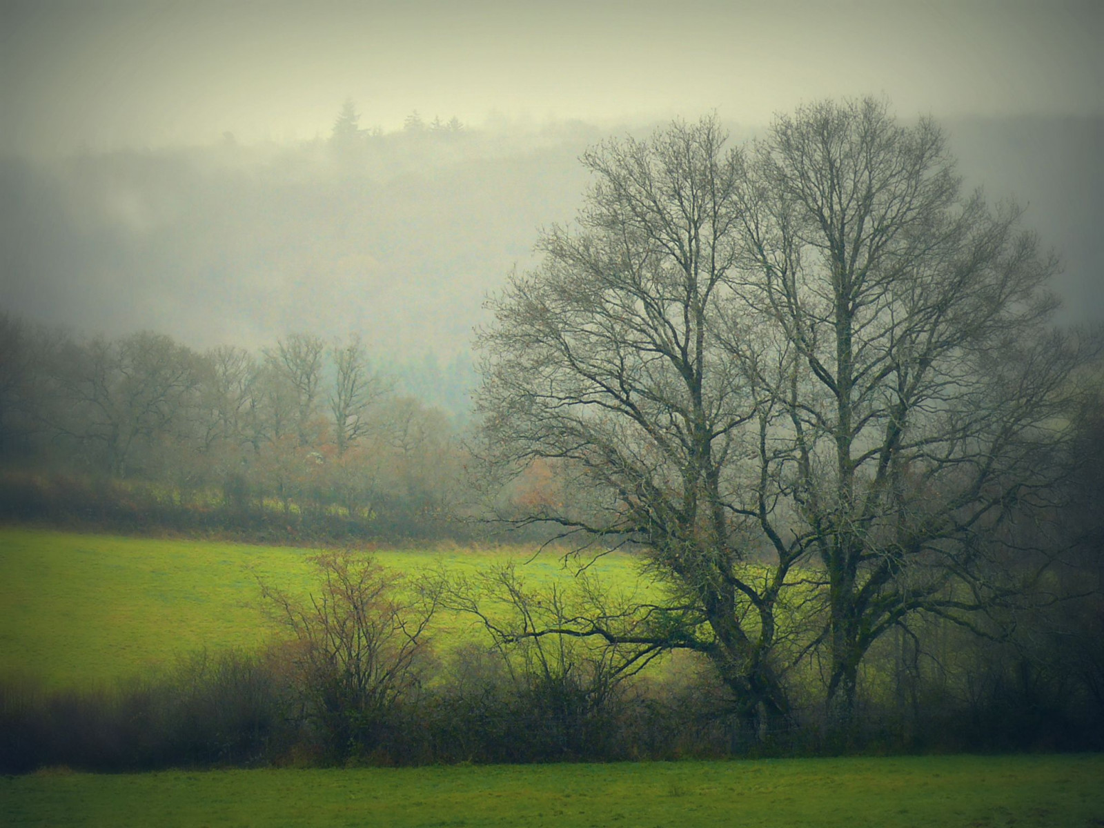 ráno, zima, světlo, nebe, mrak, slunce, bílý, mlha, Francie, Studený, barva, strom, zelená, mlha, venkovský, francouzština, krajina, venku, lumix, Frankreich, Evropa, burgundské, hiver, kopec, natur, Frankrijk, paysage, Bourgogne, campagne, francia, arbre, zima, priroda, Soe, brouillard, Morvan, francais, drvo, yonne, Svetlost, Magla, topseven, aplusphoto, goldstaraward, mladjenovic, mygearandmepremium, mygearandmebronze, mygearandmesilver