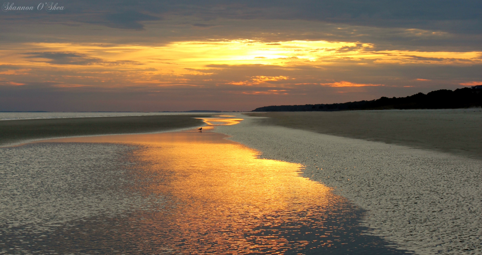 slunečnímu záření, západ slunce, moře, záliv, jezero, voda, pobřeží, písek, odraz, nebe, mraky, pláž, svítání, večer, ráno, pobřeží, slunce, horizont, soumrak, Soumrak, mrak, svítání, oceán, waterreflections, hiltonheadisland, shannonroseoshea, Atlantický oceán, canoneosrebelt2i, jezero, odlesk, Jižní Karolína, seaquins, colignybeach