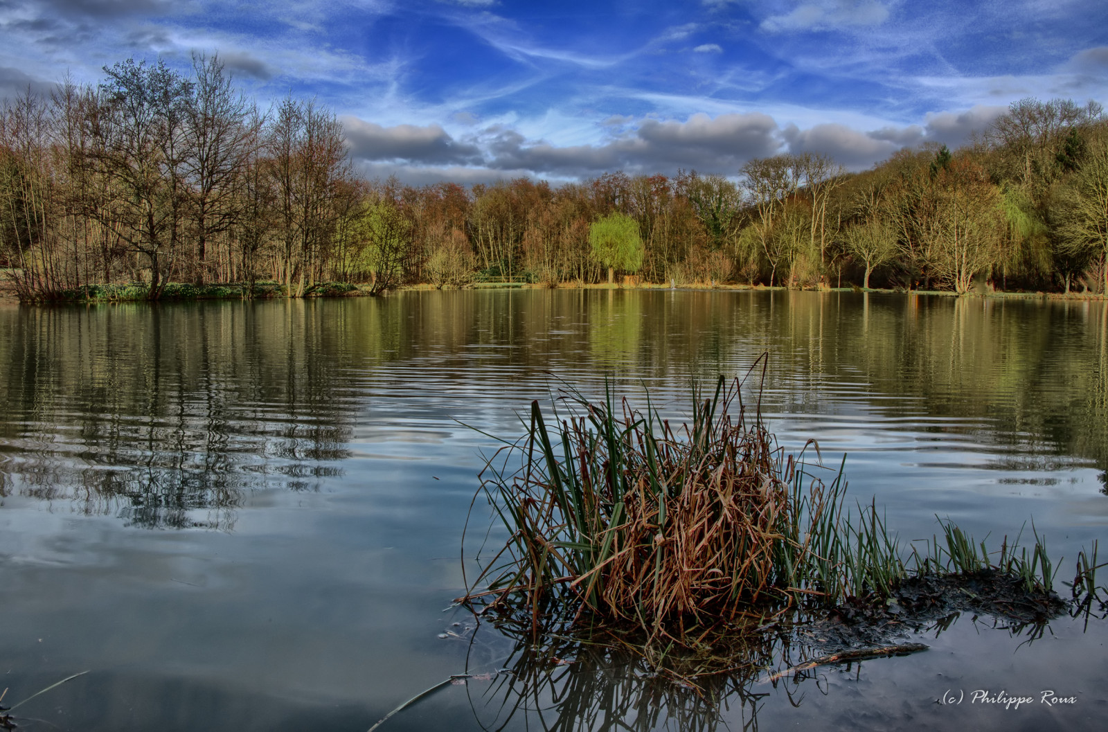krajina, les, jezero, voda, Příroda, odraz, tráva, nebe, větev, uklidnit, večer, řeka, atmosféra, divočina, rybník, banka, bažina, přírodní rezervace, Lake District, mokřadní, mrak, strom, list, rostlina, vodní tok, fuji, Fujinon, nádrž, bayou, bažina, jezero, vodní, tělo z vody, tráva rodina, meteorologický jev, bažina, národní park, rybník, lužní, bažina, XM1, xc1650mm, vodní zdroje, fujifiim, lacustrine plain