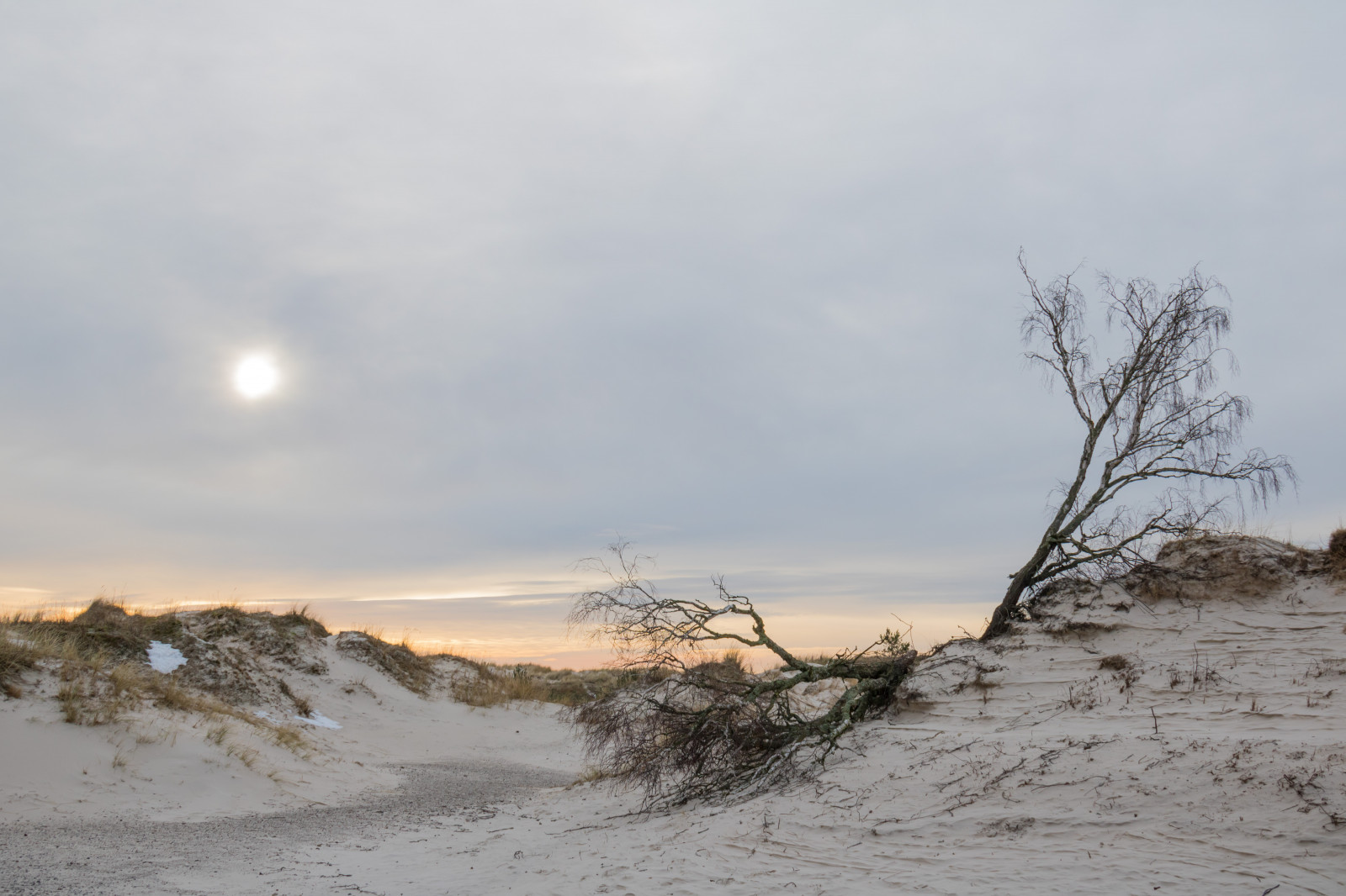 paesaggio, mare, collina, sabbia, la neve, inverno, spiaggia, costa, duna, nube, montagna, tempo metereologico, stagione, filo, Vinter, HAV, Sterlen, kust, Sandhammar, habitat, ambiente naturale, fenomeno atmosferico, landform, landform Eolie