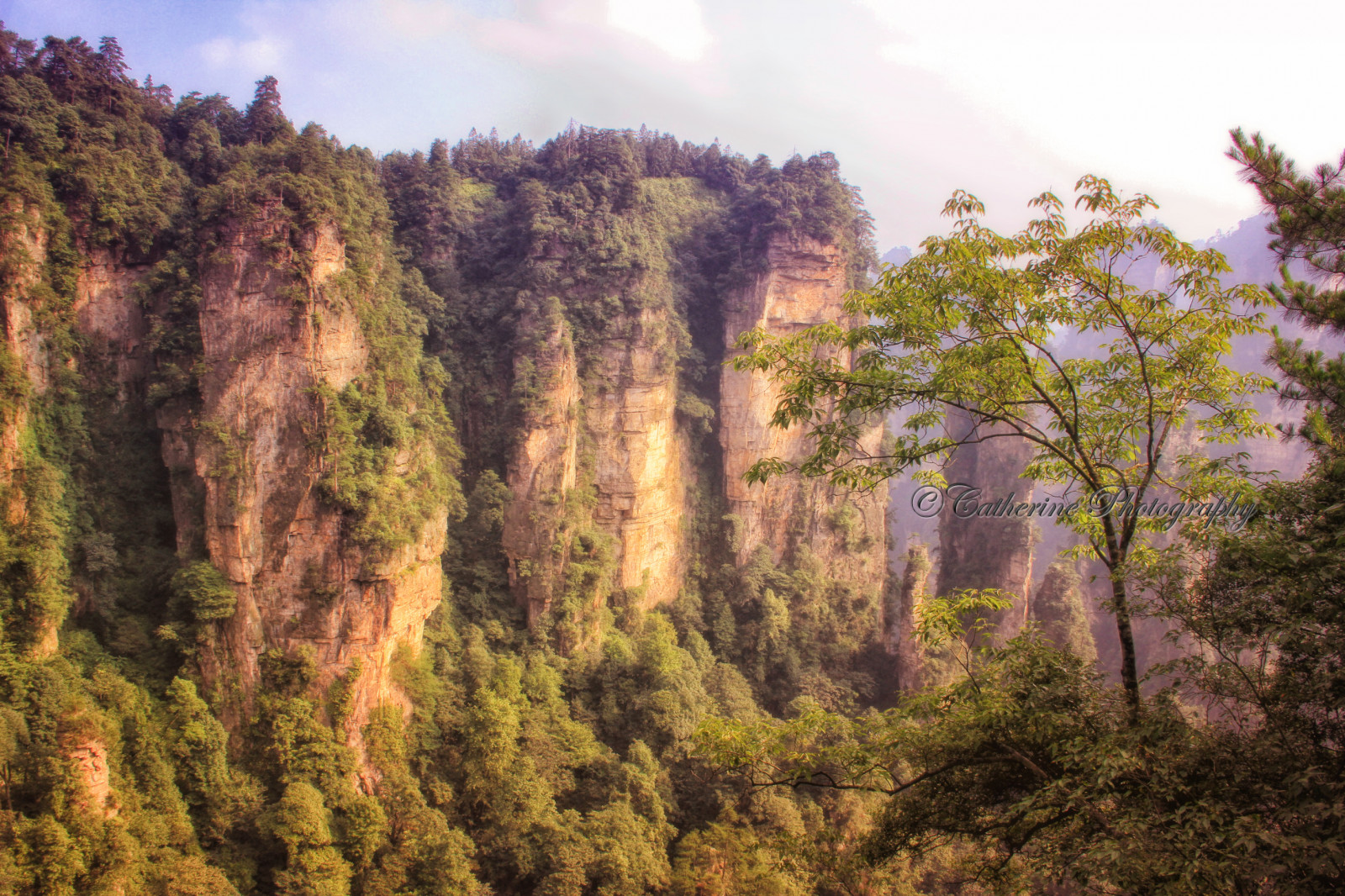 stromy, krajina, les, hory, západ slunce, Čína, kopec, Skála, Příroda, nebe, spirála, útes, národní park, divočina, džungle, mount scenérie, deštný prales, přírodní rezervace, Formace, tóny, Terén, strom, cestovat, hora, vegetace, výlet, traviny, geologie, ekosystém, mírné jehličnatý les, biome, stanice hill, prales, smíšený les, křoviny, národní park, sráz, neočekávaný výskyt, Zhangjiajie, Avatarhallelujahmountains, Avata, plant community, spruce fir forest, tropical and subtropical coniferous forests, valdivian temperate rain forest