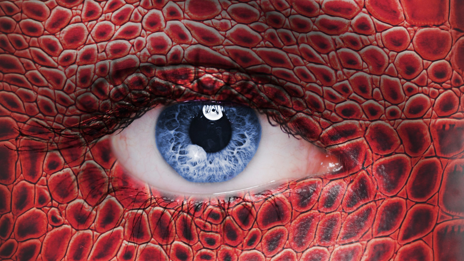 デスクトップ壁紙 女性 青い目 ビューアを見て 赤 反射 閉じる ヘビ 口 肌 詳細な 頭 眼 スクリーンショット 胸 コンピュータの壁紙 人体 フラクタルアート 器官 マクロ撮影 サイケデリックアート 2560x1440 Pvtpwn デスクトップ壁紙