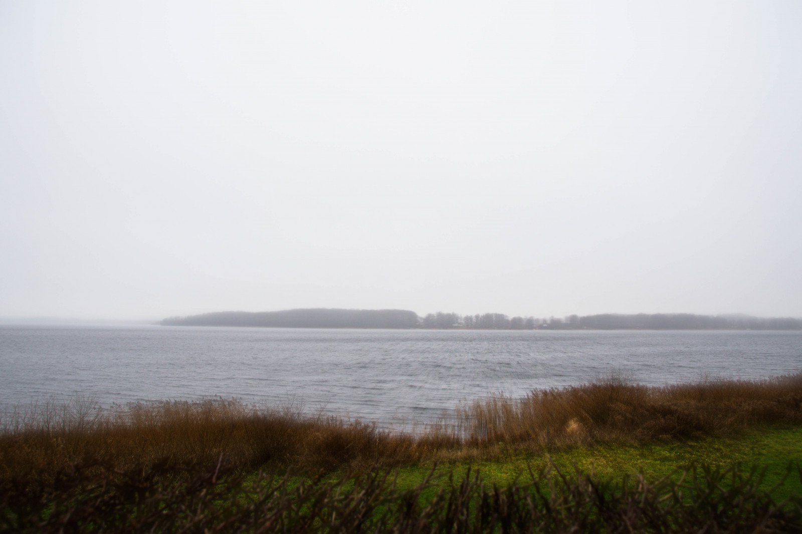 ทะเล, อ่าว, เนินเขา, ทะเลสาบ, น้ำ, ธรรมชาติ, ฝั่ง, เช้า, ปราสาท, หมอก, ชายฝั่ง, ขอบฟ้า, คริสต์มาส, สวีเดน, Sverige, พื้นที่ชุ่มน้ำ, เมฆ, หมอก, รุ่งอรุณ, มหาสมุทร, ธันวาคม, sk nel n, se, Vatten, dimma, julmarkand, bosj kloster, h r, bosj klosterslott, slott, natur, sj, อ่างเก็บน้ำ, บึง, ทะเลสาบ, ถิ่นที่อยู่, สภาพแวดล้อมทางธรรมชาติ, ปรากฏการณ์บรรยากาศ, เนื้อน้ำ, โคลน