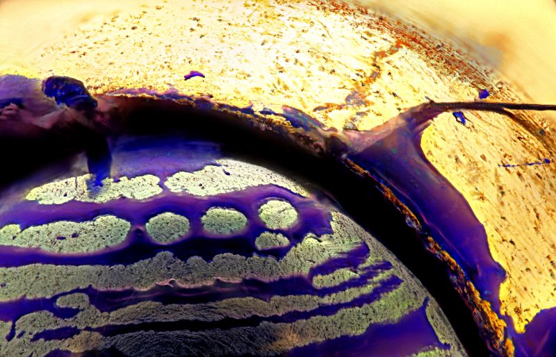 blå, vand, tæt på, organisme, gul, lilla