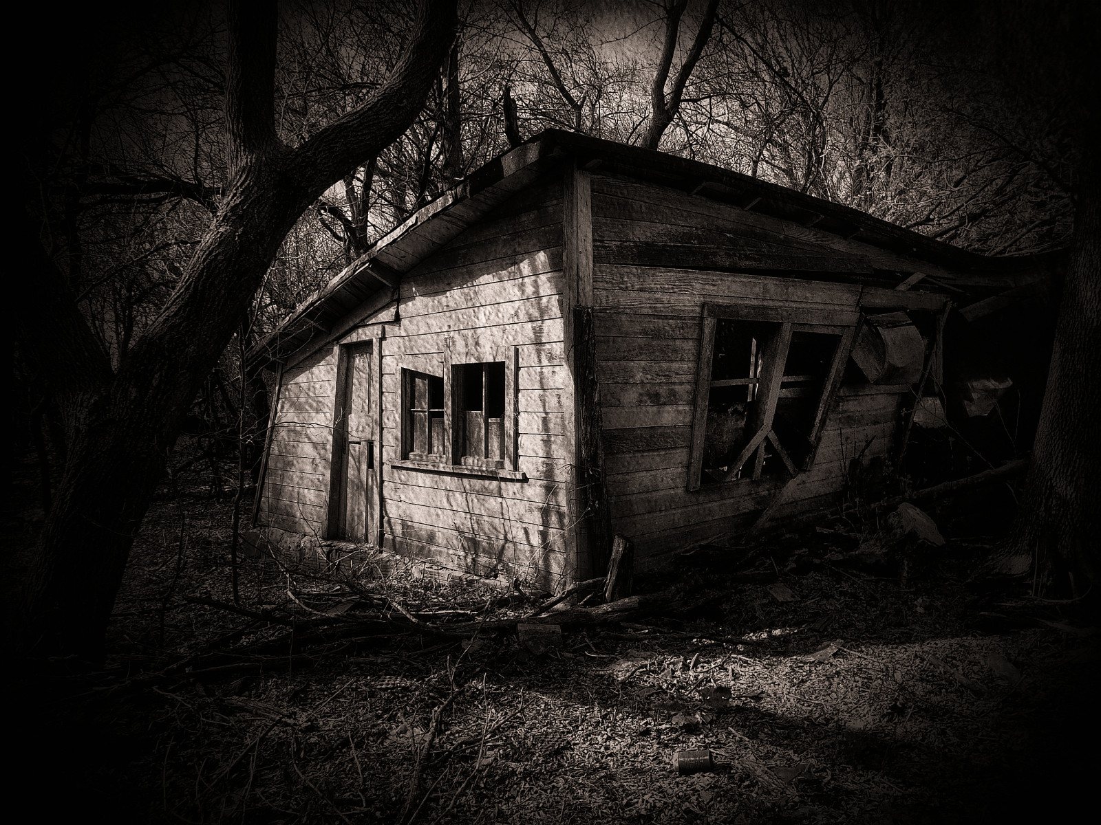 Landschaft, Wald, schwarz, alt, einfarbig, Nacht-, verlassen, Himmel, Fotografie, Holz, Haus, Bauernhof, Atmosphäre, zerfallen, Mitternacht, Minnesota, Ländlichen, Hütte, Licht, Schwarz und weiß, Land, Baum, Blinkagain, Schuppen, Zuhause, Dunkelheit, Landwirtschaft, Tatot, Hain, Schwarz und weiß, Monochrome fotografie, Stillleben Fotografie, Phänomen, Watonwancounty, stock photography