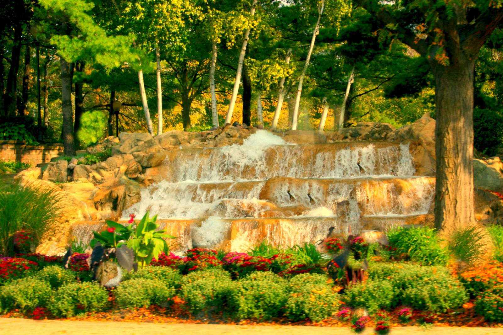 ต้นไม้, สวน, ป่า, ต้นไม้, ฤดูใบไม้ร่วง, ดอกไม้, ป่า, น้ำตก, พฤกษศาสตร์, คุณลักษณะน้ำ, สวนพฤกษศาสตร์
