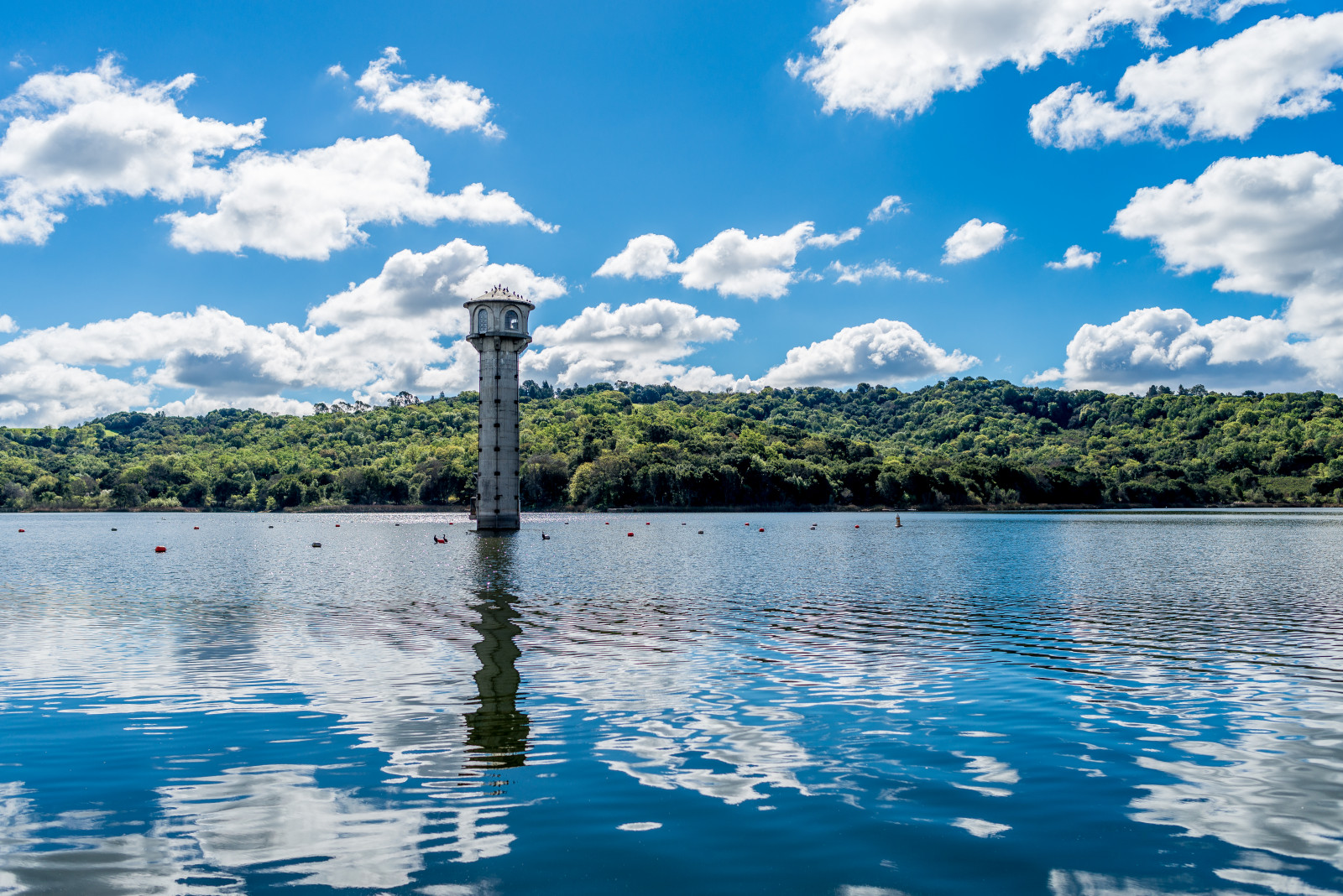 sf, Kalifornie, stromy, nebe, Spojené státy americké, jezero, odraz, voda, mraky, krajina, záliv, Nikon, San, francisco, Lafayette, 28mm, pilíř, nádrž, plný, Průhledná, rám, plocha, během dne, MM, NIKKOR, D610, f18g