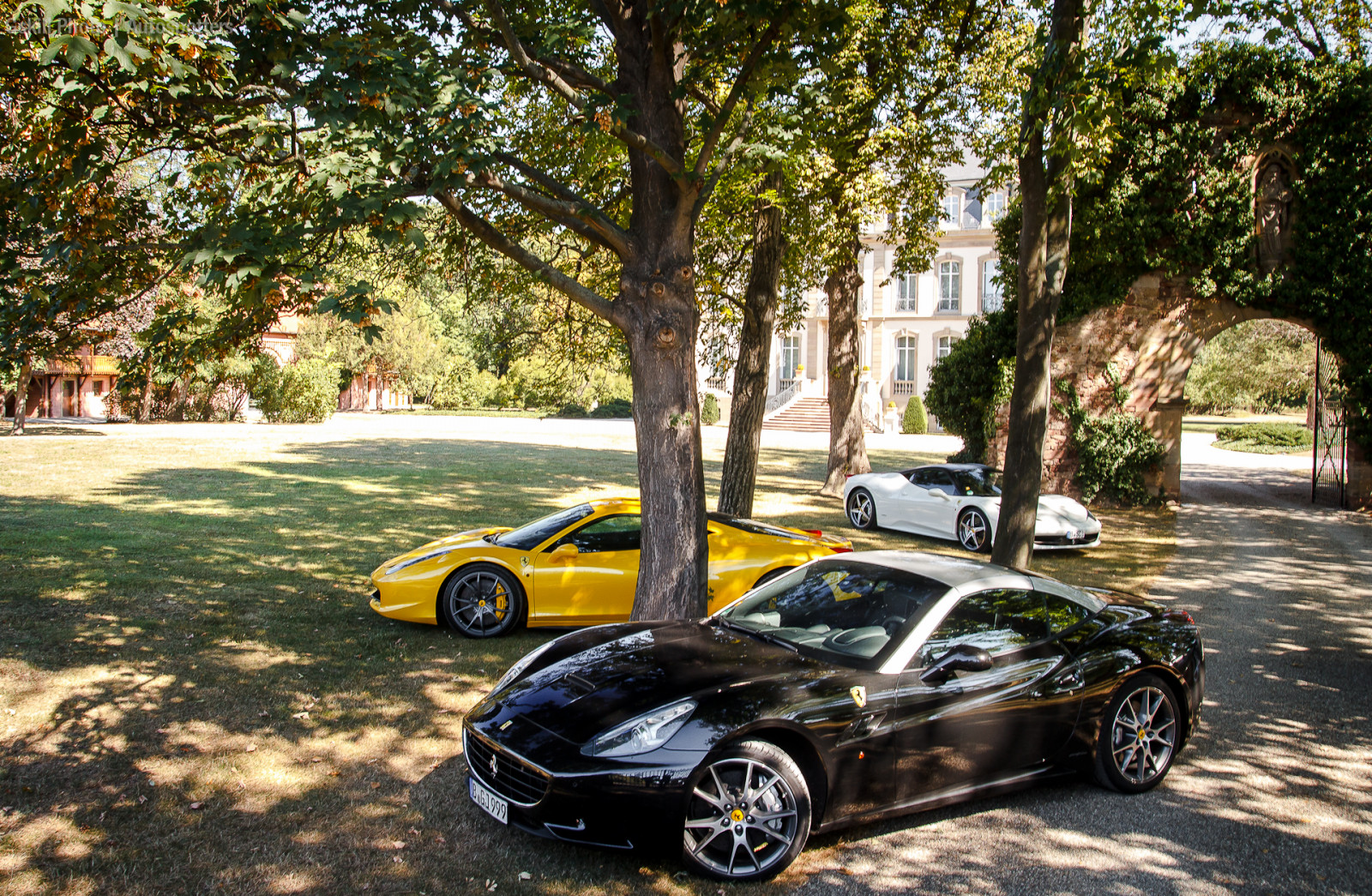 bil, jord køretøj, plante, gul, køretøj, bildesign, motor køretøj, vej, luksus køretøj, træ, sportsvogn, superbil, automotive exterior, ydeevne bil, gade, asfalt, bybil, hjul, Sedan, familie bil, coupe