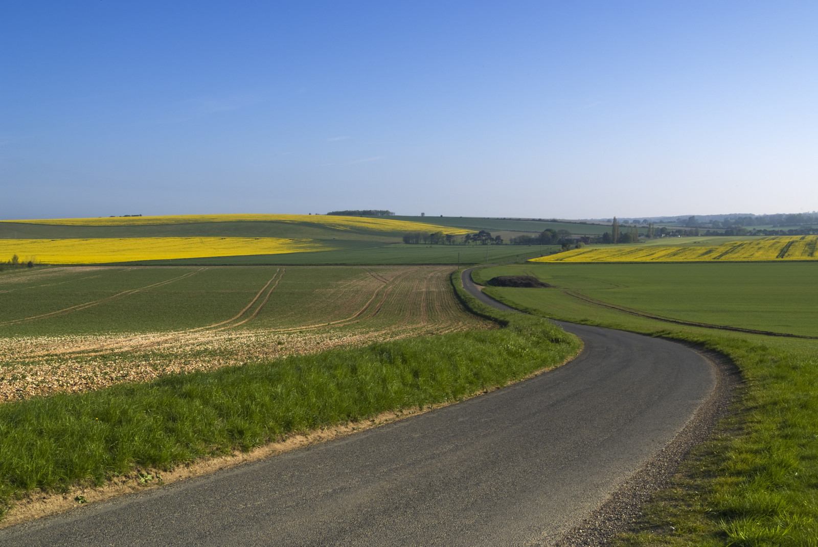 krajina, kopec, tráva, nebe, pole, silnice, fotografování, žlutý, Anglie, hospodařit, horizont, Dálnice, průmyslový, doprava, asfalt, step, infrastruktura, řepkového, strom, cestovat, lučina, rostlina, nálada, flóra, pastvina, čára, řepka, zemědělství, louka, prostý, scénický, pruh, polder, prérie, oříznutí, Chilterns, venkov, Atmosféra Země, ekosystém, tráva rodina, pozemek pozemek, povrch vozovky, Oxfordshire, ekoregion, Dálnice, thamesvalley, chilternhills, Inspirace, Jimhellier