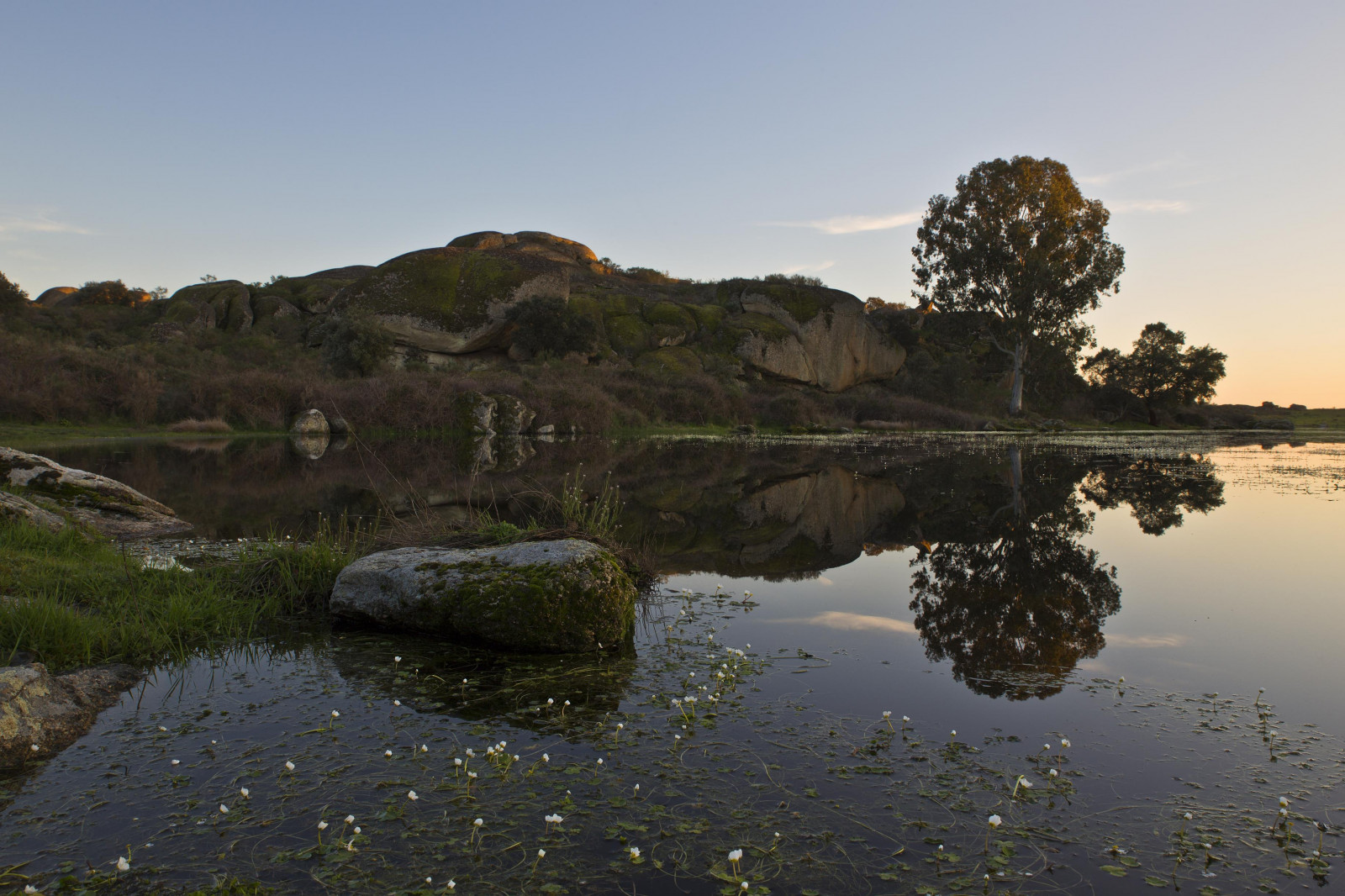 afspejling, natur, vand, loch, himmel, sø, træ, Bank, reservoir, morgen, vådområde, landskab, sø område, highland, klippe, græs, aften, plante, bjerg, flod, berolige, mose, Dam, bakke, tarn, daggry