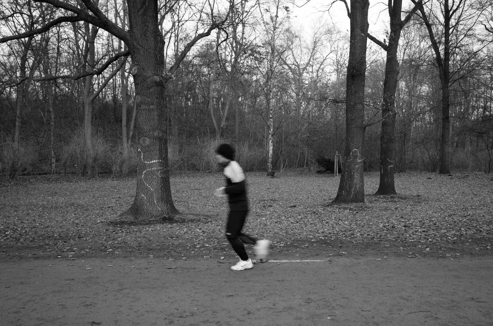 slunečnímu záření, krajina, les, bílý, Černá, černobílý, Příroda, tráva, nebe, park, stín, silnice, fotografování, ráno, cesta, jaro, běh, Osoba, jogging, chůze, Berlín, Černý a bílý, strom, Landschaft, rostlina, dívka, zábava, natur, styl, fotografie, stezka, tma, ricohgr, rekreace, schwarzweis, zálesí, Černý a bílý, monochromatické fotografování, dřevina, tělesné cvičení, jev, Tiergarten