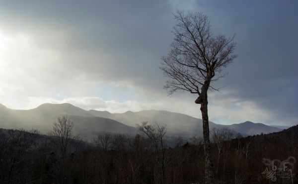 trees, landscape, forest, mountains, sunset, hill
