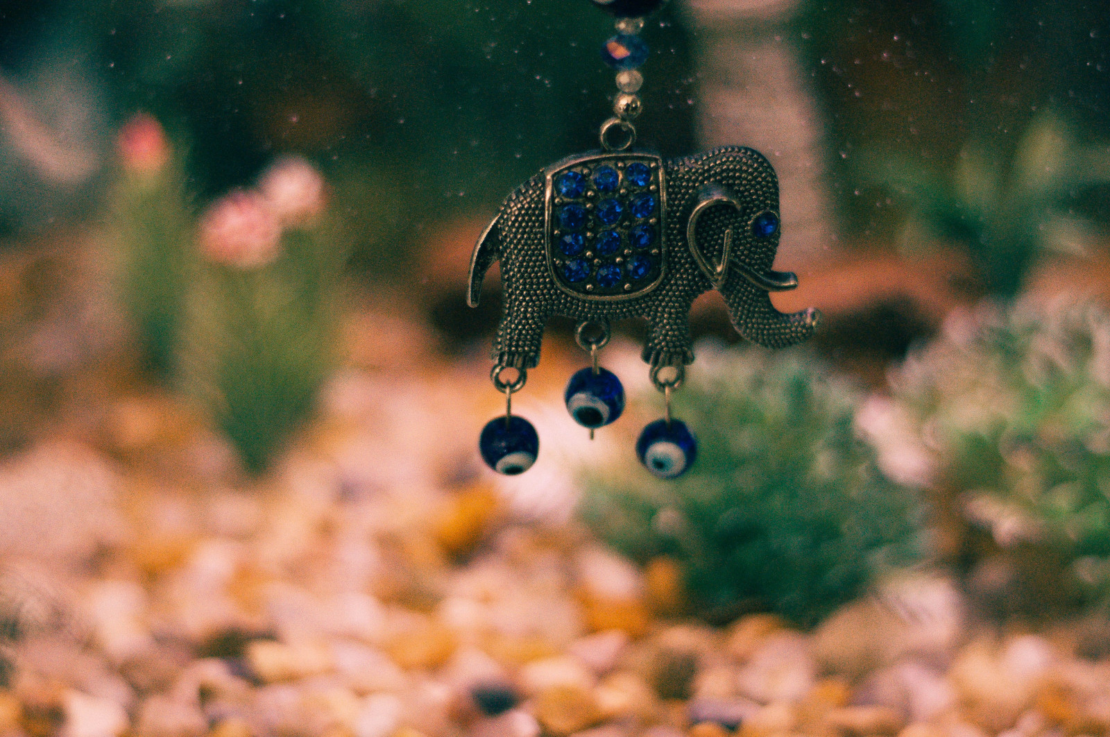 Photoshop, dyr, elsker, fotografering, fisk, Nikon, linse, elefant, Brasilien, Brasil, Lightroom, MM, 90, NIKKOR, 50mm, 18, Foto, alle, fantastiske, film, VSCO, fauna, d90, 50, d, photograpy, vscocam, vscofilm, cam, computer tapet, tæt på, makrofotografering, havbiologi, organisme