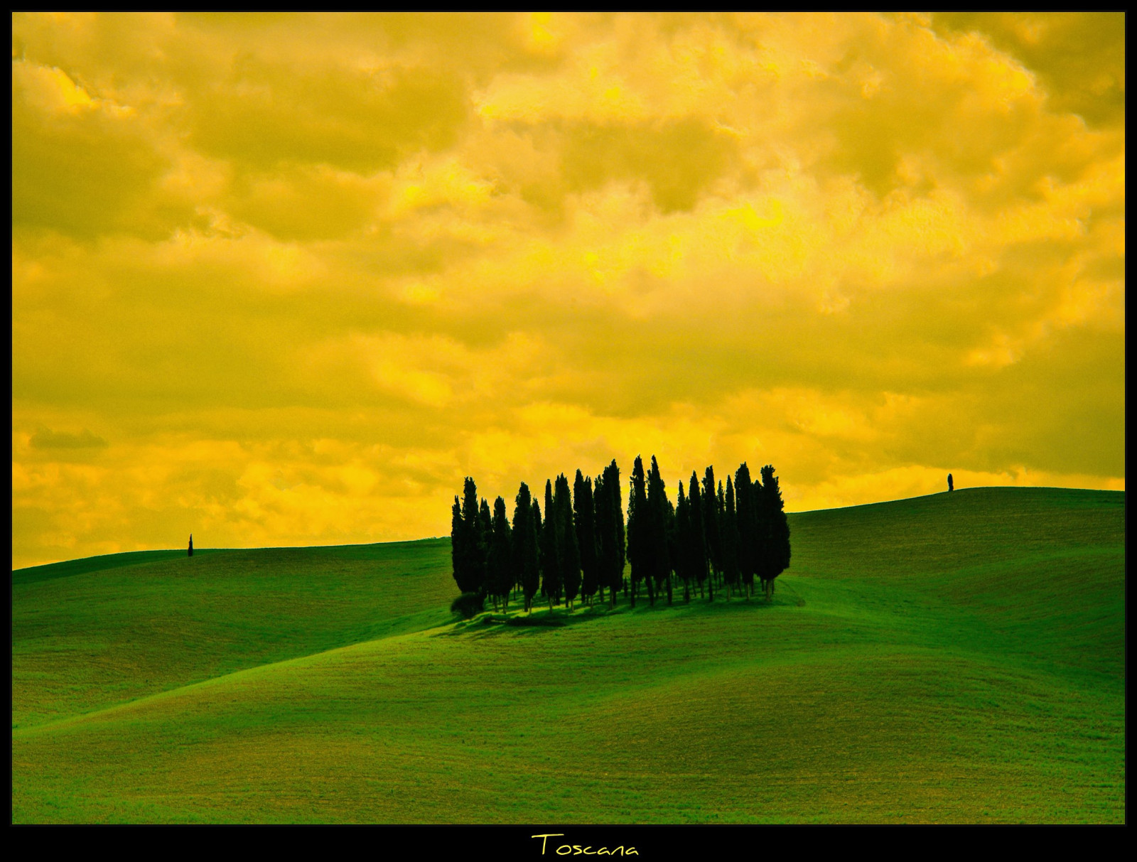 slunečnímu záření, krajina, Itálie, kopec, Příroda, tráva, nebe, pole, zelená, ráno, horizont, Toskánsko, UMĚNÍ, mrak, strom, lučina, elitegalleryaoi, louka, prostý, tvořivý, anawesomeshot, abigfave, bestcapturesaoi, platinumphoto, artofimages, magicunicornverybest, Oberberg, platinumsuperstar, vanagram, bestofmywinners, prérie, počítač tapeta, golfový klub, toskana2010
