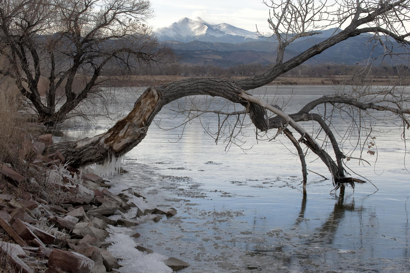 krajina, jezero, voda, pobřeží, odraz, nebe, park, sníh, zima, mraky, dřevo, větev, led, řeka, Volně žijících živočichů, klepnout, Colorado, banka, chůze, bažina, zmrazení, zlomený, Balvan, cvičení, mokřadní, pastorální, leden, strom, F28, NIKKOR, G, hrabství, rostlina, odstín, Michel, víkend, vr, zdraví, jezero, traviny, skály, bažina, McIntosh, roztržení, lužní, Longmont, Dawson, telezoom, topol, Monopod, Stvrain, Basinrockypixrockymountainpixw, Mcintoshlakepark, Indianpeakswildernessarea, 160thsec, Frozendecember, Kiteleyf16, Mcintoshlakelooptrail, 82mm70200mm
