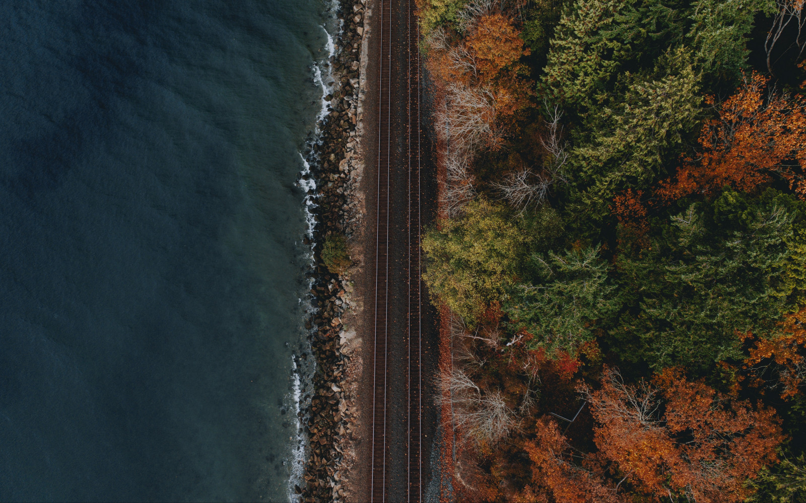 Wallpaper railroad track, nature, ocean view, trees 3840x2400