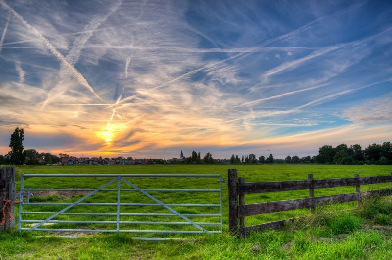 Himmel, Wiese, Wolke, Feld, Bauernhof, Weide