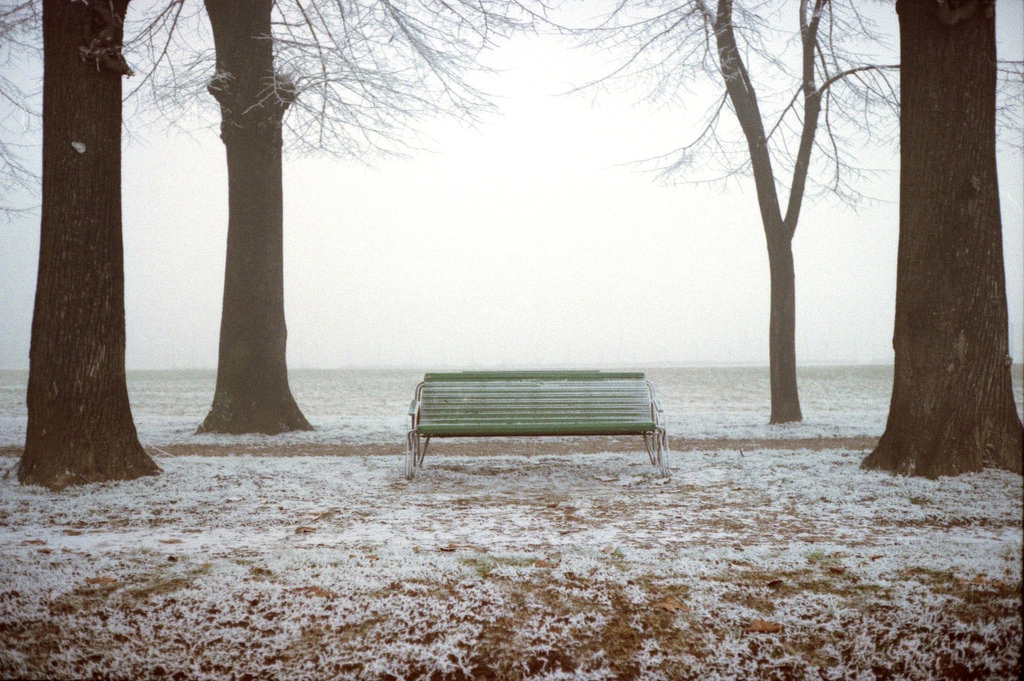 slunečnímu záření, stromy, voda, sníh, zima, dřevo, větev, led, ráno, mráz, lavice, 35MM, zmrazení, Electro, strom, Italia, film, analog, YASHICA, analogphotography, autaut, Yashicaelectro, Yashicaelectro35gt, Mantova, Ferrania100, Solaris100, Contest26fotografiaanalogicaitalia, Analogově