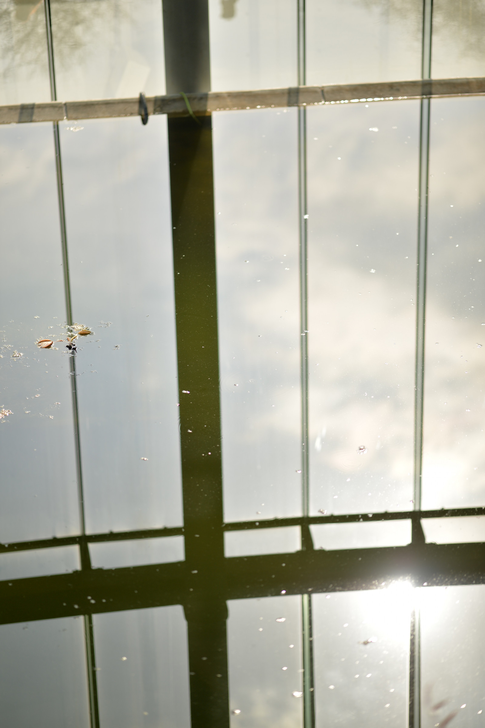 Japonsko, slunečnímu záření, bílý, okno, odraz, park, stěna, dřevo, symetrie, Dům, zelená, sklenka, Nikon, Vzhled interiéru, Tokio, jp, světlo, barva, NIKKOR, osvětlení, tvar, design, čára, strop, shinjukgyoen, Shinjuku, afs105mmf14eed, afsnikkor105mmf14eed, df, nábytek, Žaluzie okna, denní osvětlení