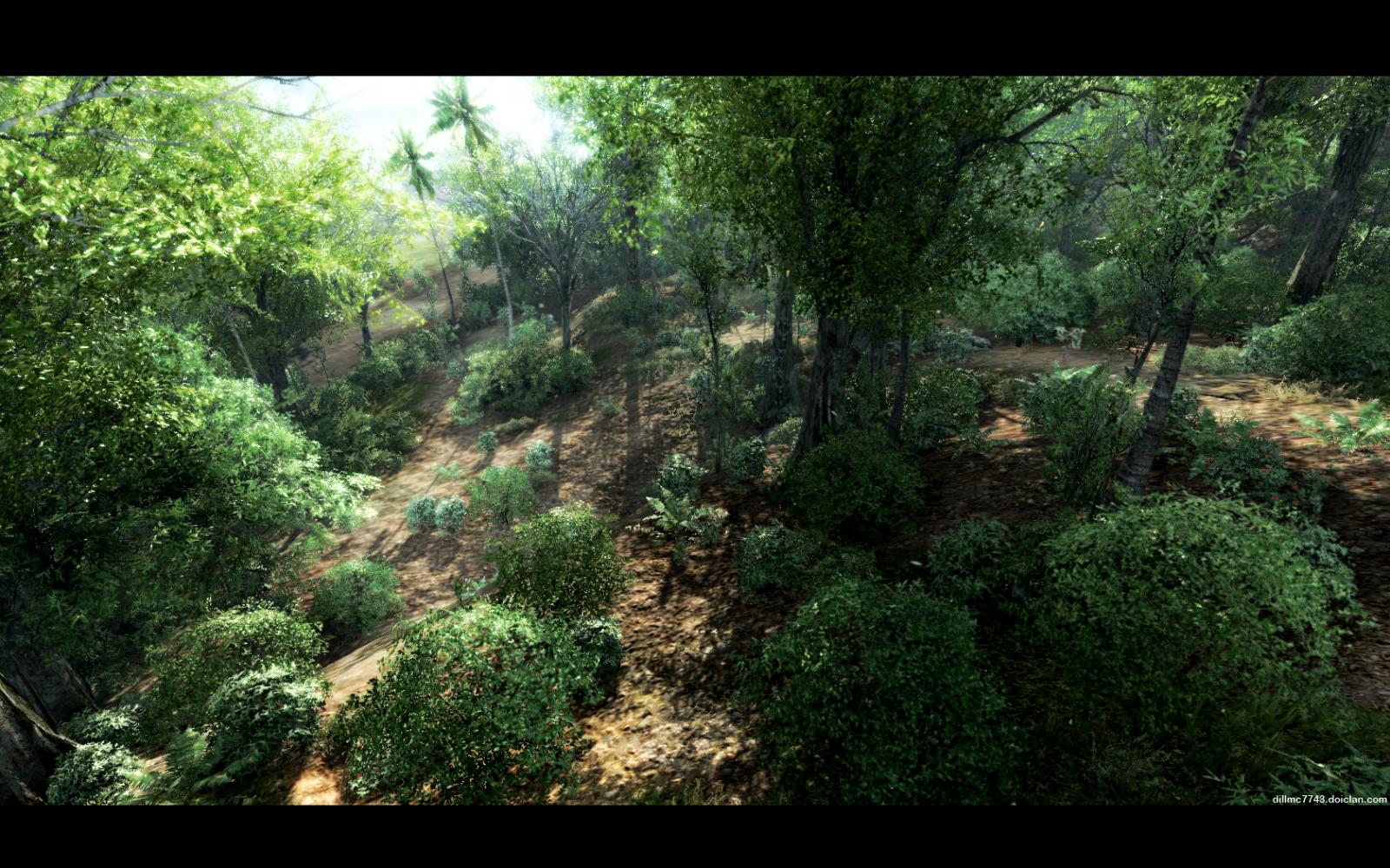 sollys, Skov, computerspil, mos, grøn, ødemark, jungle, Crysis, Crysis sprænghoved, regnskov, vådområde, Terræn, vegetation, skærmbillede, skov, levested, naturligt miljø, computer tapet, geografisk funktion, økosystem, tempererede nåleskove, biom, gamle vækst skov, tempereret løvfældende skov