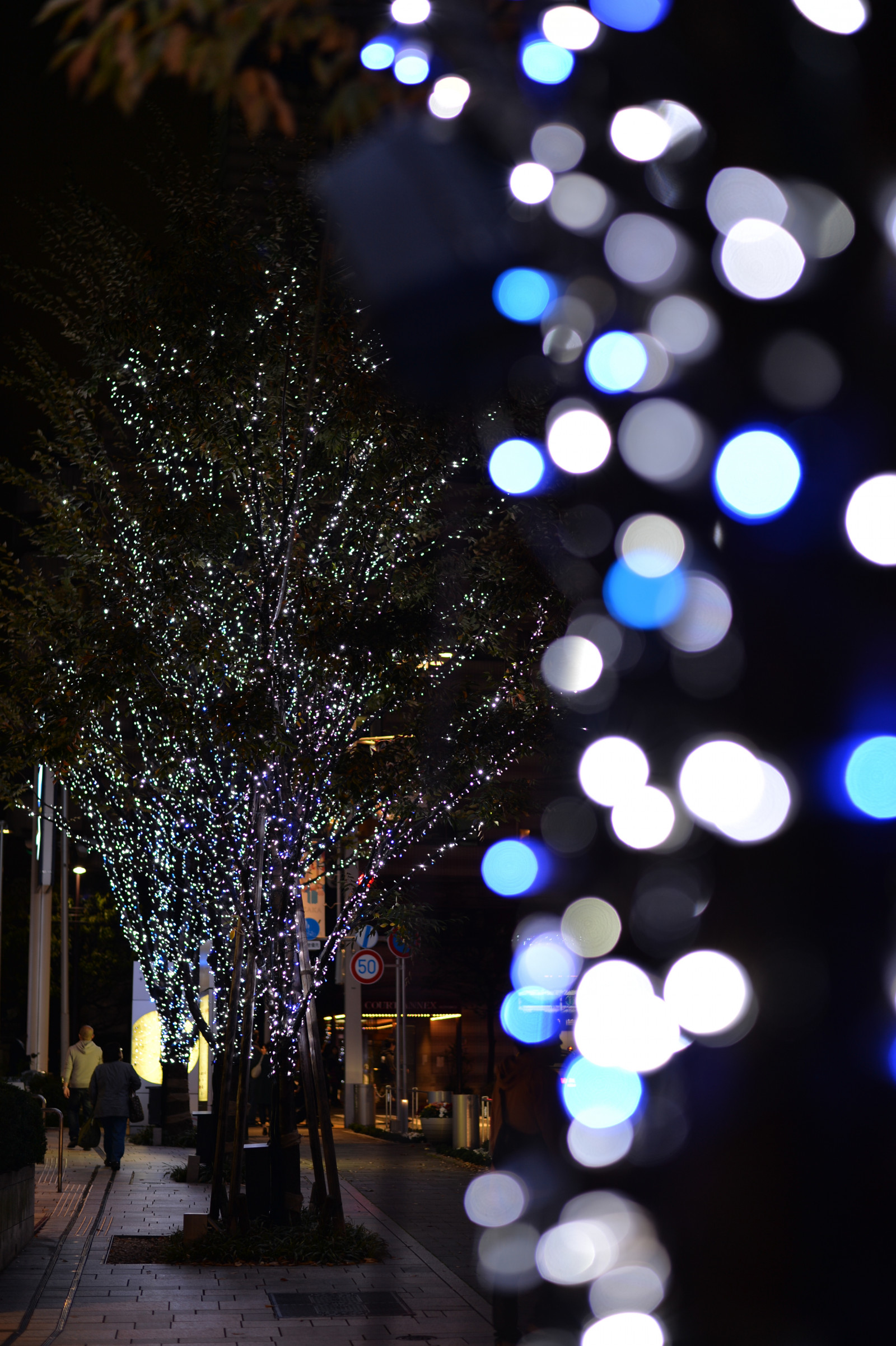 Japan, nat, blå, Juletræ, Nikon, jul, julelys, Tokyo, Jp, lys, farve, NIKKOR, blomst, belyst, belysning, belysning, df, roppongi, keyakizaka, afs58mmf14g, afsnikkor58mmf14g, belyse, indretning, juledekoration