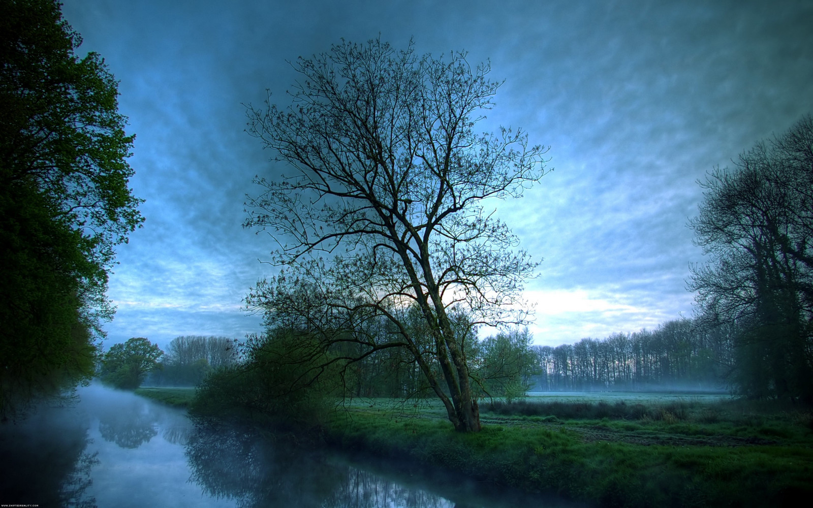 zonlicht, bomen, Bos, natuur, reflectie, hemel, tak, zonsopkomst, avond, ochtend-, mist, atmosfeer, wolk, boom, herfst, mist, weer, dageraad, fabriek, bos-, leefgebied, atmosferisch fenomeen, houtachtige planten