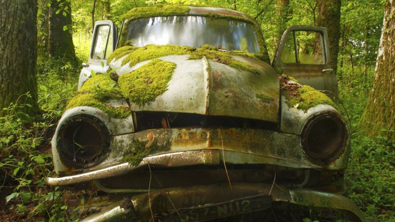 auto, opuštěný, vozidlo, džungle, veteránem, kolo auto, opuštěný, vozidlo, džungle, veteránem, kolo