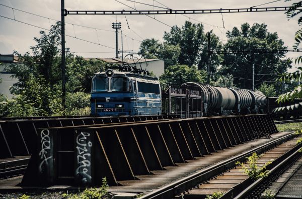 vehicle, train, railway, train station, trees, old