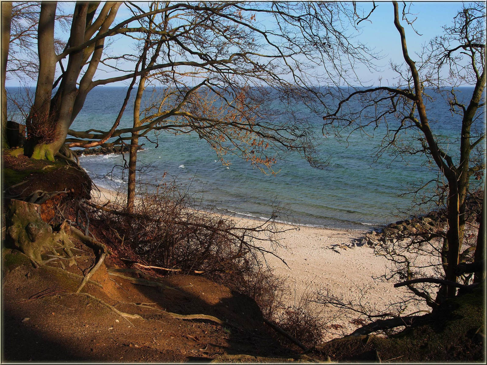 stromy, moře, voda, Skála, Příroda, odraz, ráno, Německo, pobřeží, divočina, 2015, strom, podzim, list, Pohled, rostlina, sezóna, deutschland, Ostsee, wasser, b UME, ostseeleuchte, norddeutschland, dřevina, Ostholstein, Ostseeblick, Winterview, gr mitz, balricsea