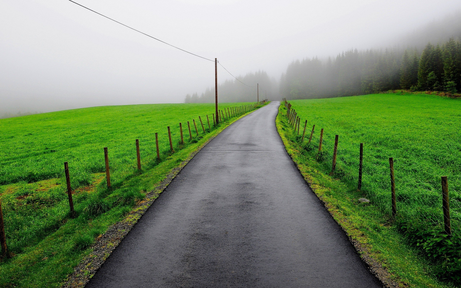 2560x1600 px, 道路, 通り