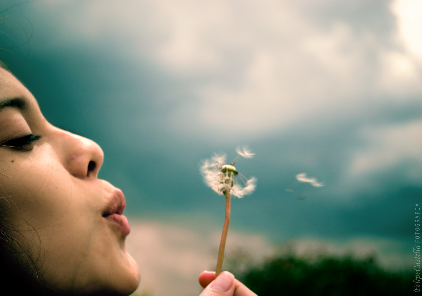 tvář, slunečnímu záření, portrét, tráva, nebe, vítr, Nikon, Šavle, pusa, Bůh, sólo, jaro, Dospívající, Al, Kolumbie, Dios, Bogota, květ, dívka, krása, žena, ruka, mujer, viento, los, D3100, Si, ret, y, fotografia, 1855mm, para, flor, dientedeleon, počítač tapeta, zblízka, teenphotography, que, finále, recuerdos, nos, Memorias, Suspiro, Solpo, Quedan, Vivimos, Felipecastilla