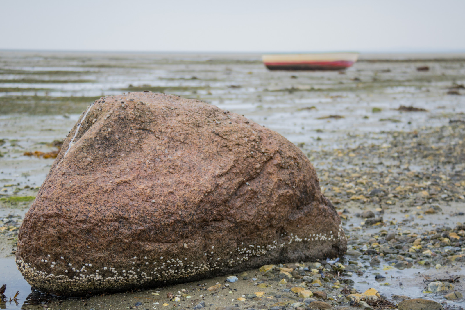 barca, mare, roccia, puntellare, sabbia, legna, costa, Danimarca, Masso, b t, Danmark, Materiale, kust, modello canoneos760d exif, geocountry, Marca fotocamera Canon, Geocity, modello di fotocamera canoneos760d, geostate, geolocalizzazione, Lente exif efs18200mmf3556is, exif fare canon, exif ISOSPEED 160, apertura exif 45, exif focalLength 50 millimetri, marea, Tidewater, tidvatten, dalbyhuse, suolo, geologia