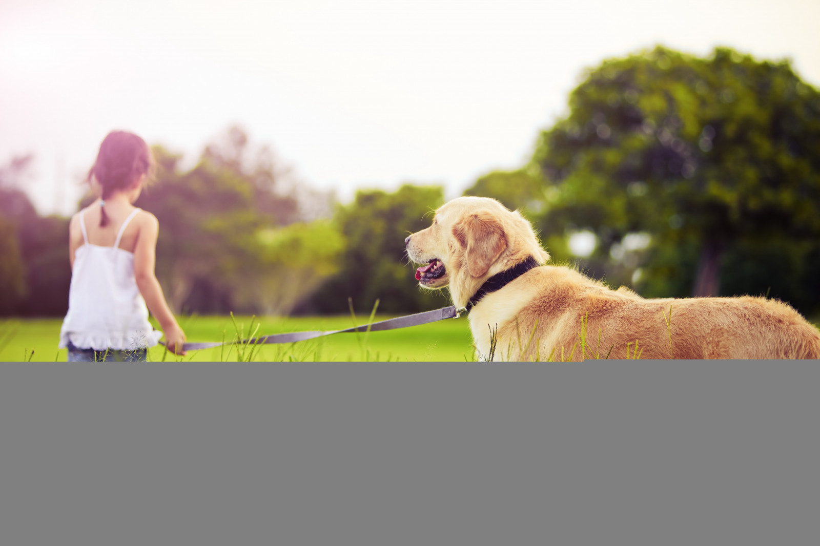 Wallpaper grass, park, dog, leash, color, walk, girl 5616x3744