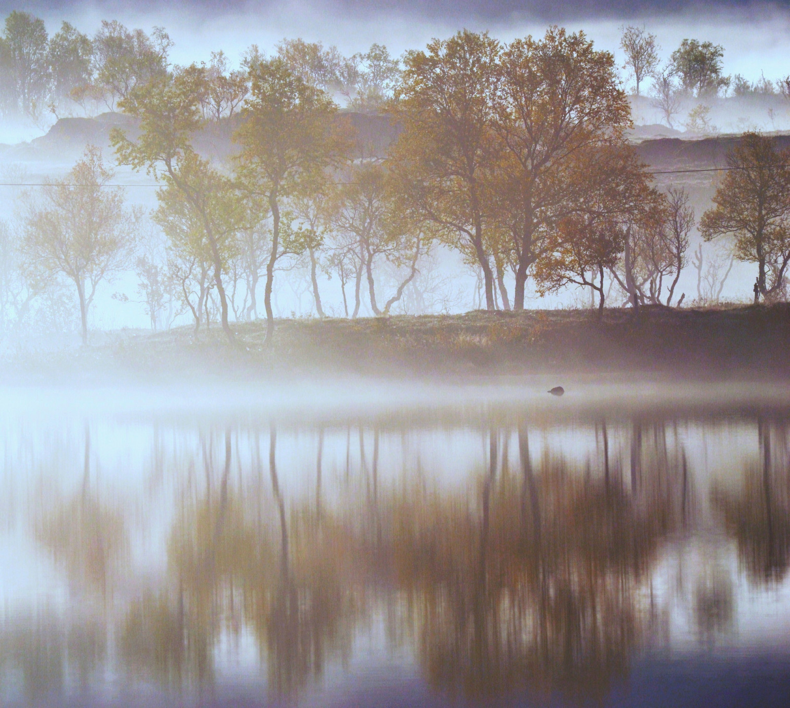 sollys, træer, landskab, efterår, sø, vand, natur, afspejling, vinter, solopgang, Norge, aften, morgen, tåge, frost, vådområde, træ, efterår, tåge, vejr, daggry, sæson, h st, 1001nights, 1001nightsmagiccity, norge, marsk, loch, atmosfærisk fænomen, senjaisland, dis