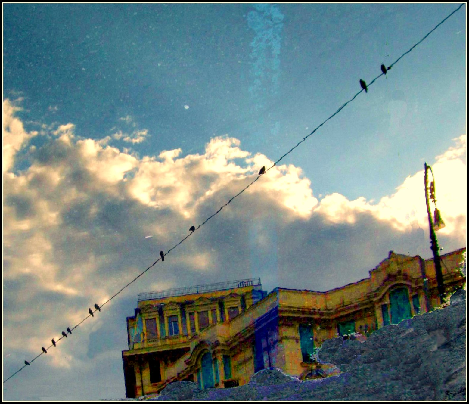 Haus, Betrachtung, Gebäude, Wasser, Lampe, Wolken, Pfütze, Casa, Nuvole, Kabel, erforschen, Genua, Pidgeons, Acqua, Lampione, Filo, Riflesso, Piccioni, Pozzanghera, 2011, cavo