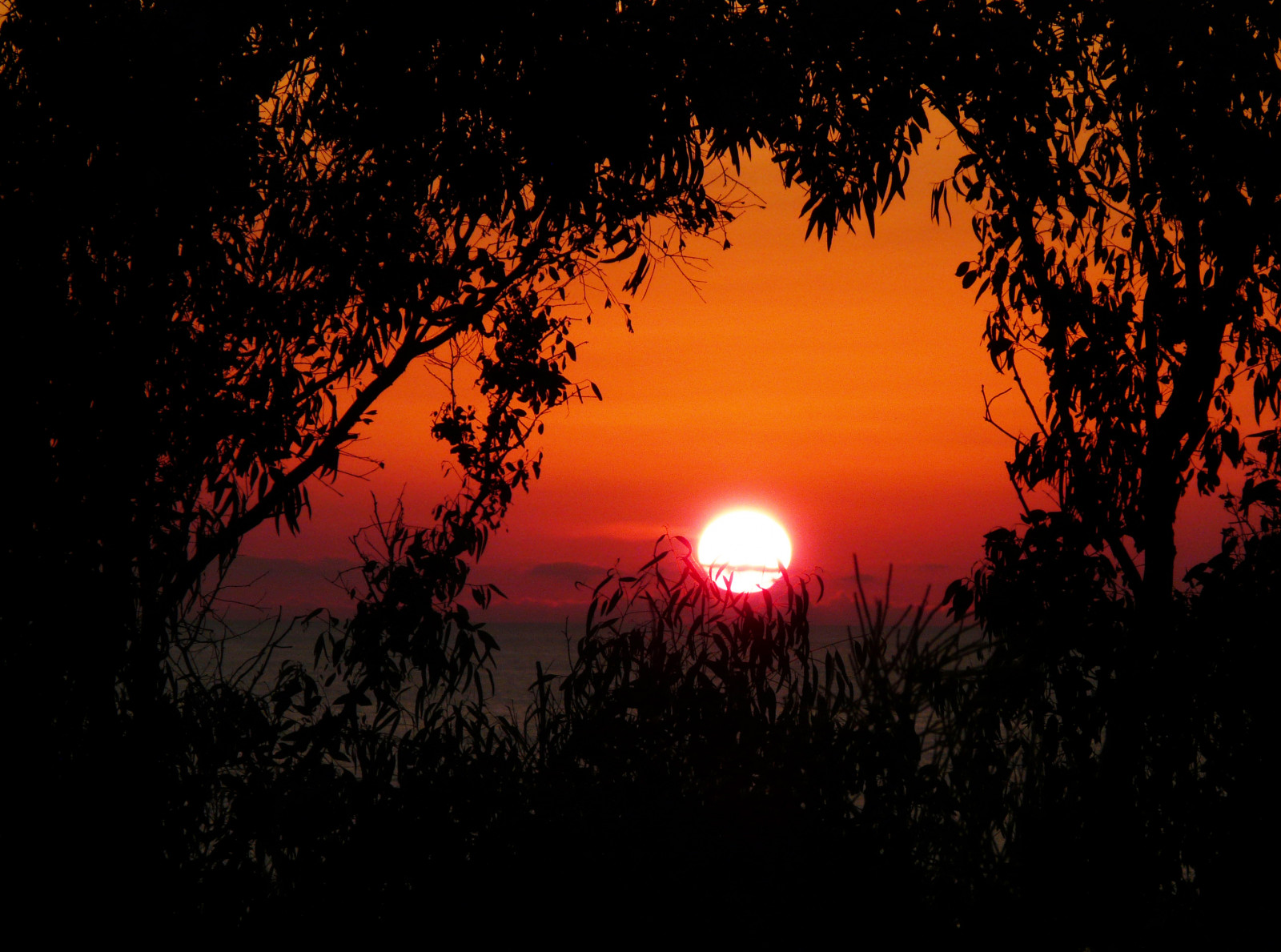 modrý, západ slunce, Červené, moře, nebe, slunce, verde, zelená, Příroda, voda, alberi, krajina, tři, Italia, Tramonto, kobyla, fialový, karetní hra, cielo, Sicílie, podrážka, viola, rosso, Paesaggi, Sicilia, ORO, Trapani, Siciliani