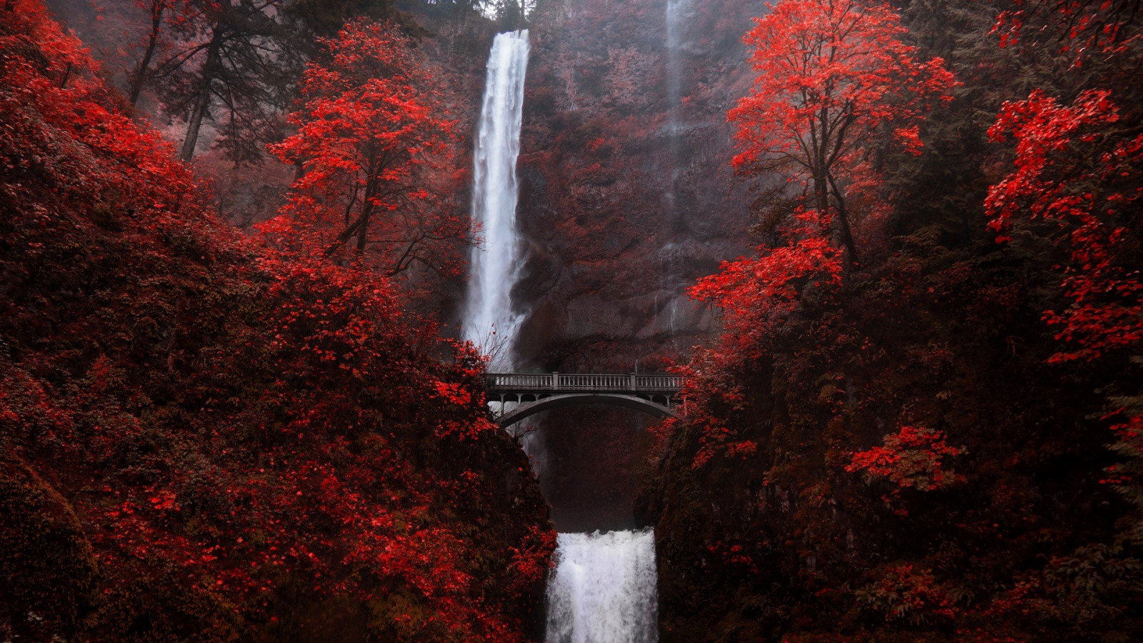 træer, efterår, bro, bjerge, planter, Multnomah falls, Oregon, USA