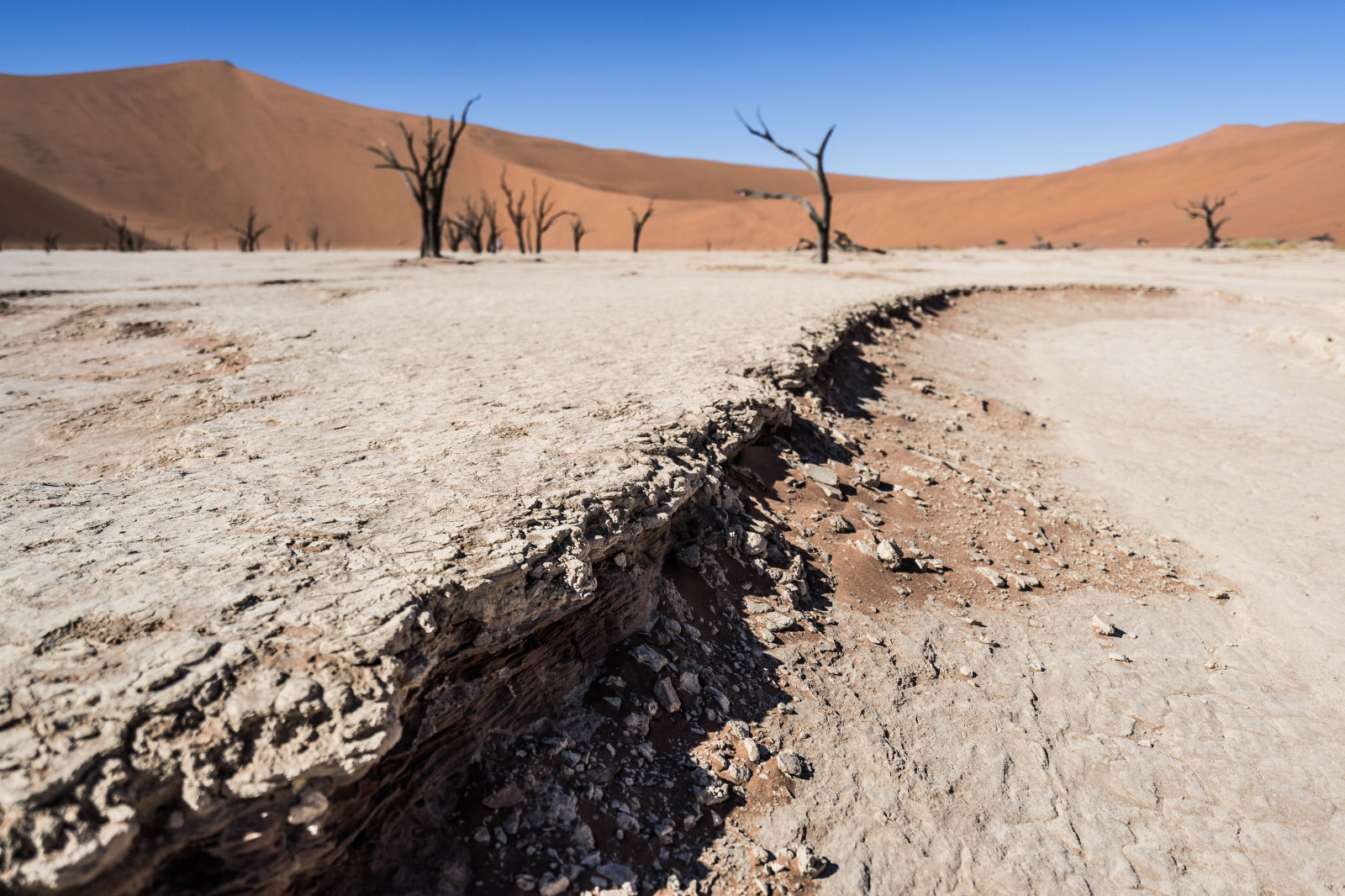 Afrika, strom, poušť, Sony, duna, široký úhel, afrika, Pánev, Namibie, baum, a7, w ste, Dunen, Sossusvlei, Pfanne, Deadvlei, weitwinkel, 2016, alfa-7, sel1635z