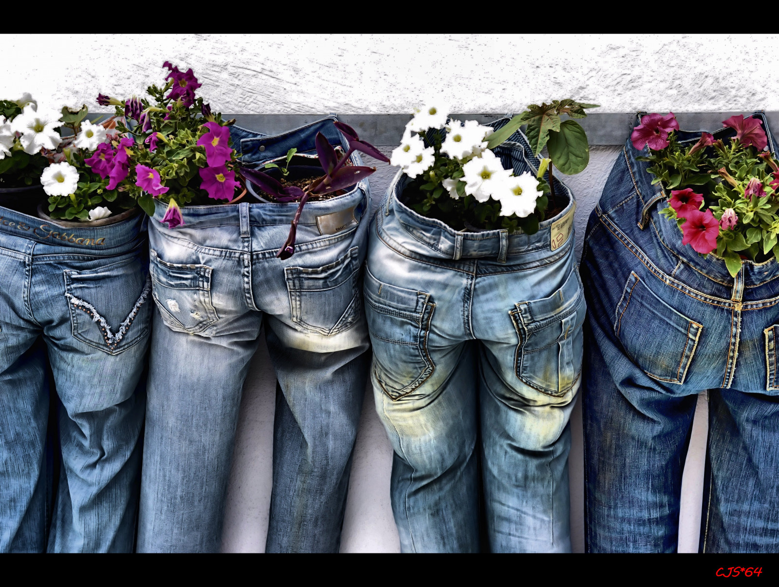 květiny, Dovolená, Nikon, kalhoty, Santorini, Řecko, džíny, CJS, D3100, nikond3100, craigsunter, cjs64
