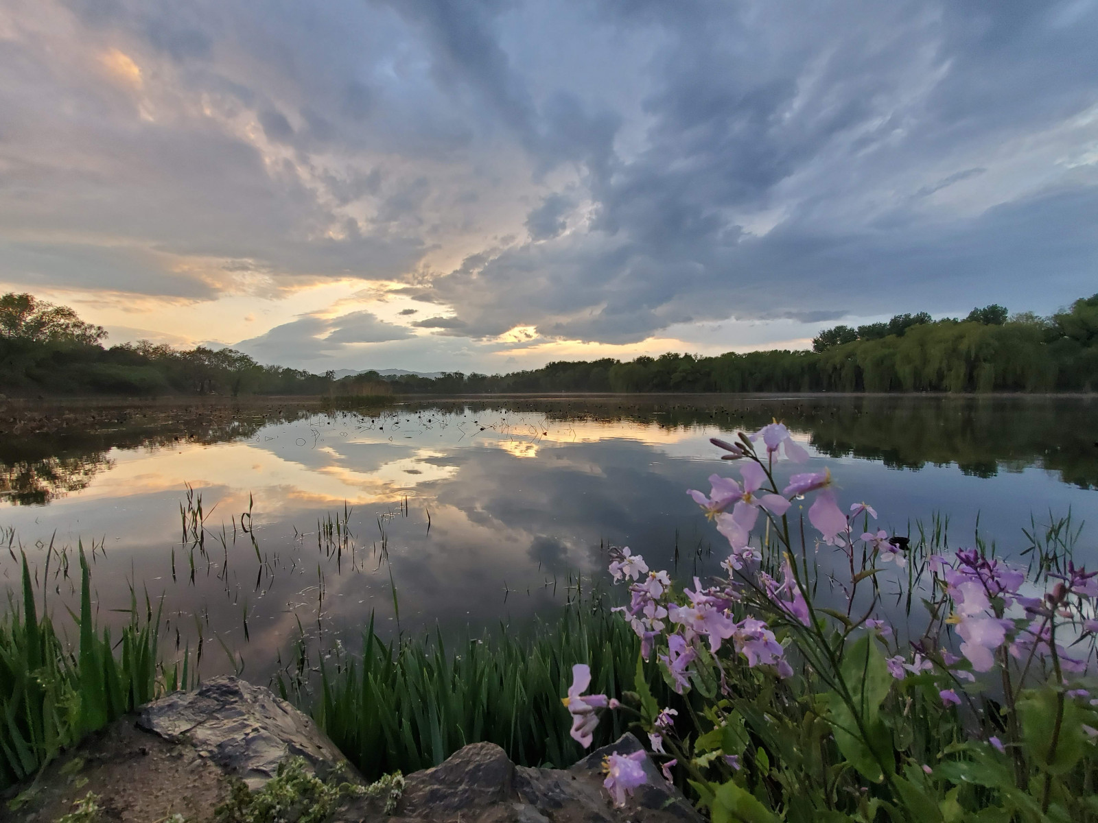 2020photographys, จีน