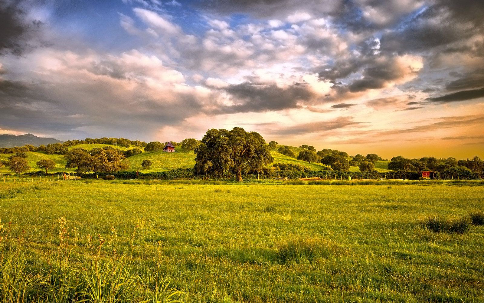 luce del sole, alberi, paesaggio, tramonto, collina, natura, erba, cielo, campo, nuvole, Alba, mattina, orizzonte, crepuscolo, altopiano, nube, albero, fiore, alba, prateria, pascolo, agricoltura, prato, pianura, prateria, area rurale, habitat, ambiente naturale, caratteristica geografica, famiglia di erba, savana, risaia