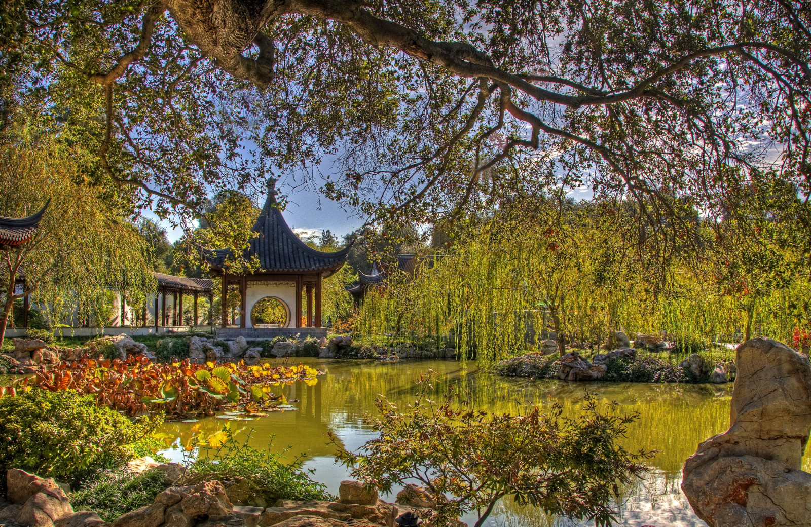 Wallpaper : arbor, China, tree, branches, pond, flora 2600x1690 ...