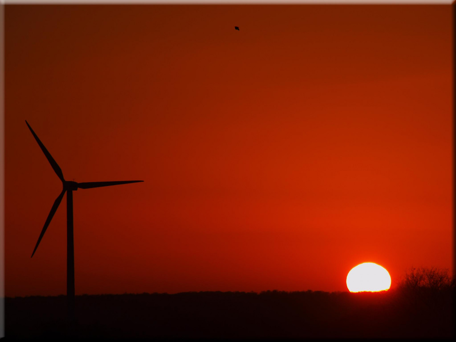 Wallpaper sunlight, sunset, sky, sunrise, Sun, wind, atmosphere, dusk