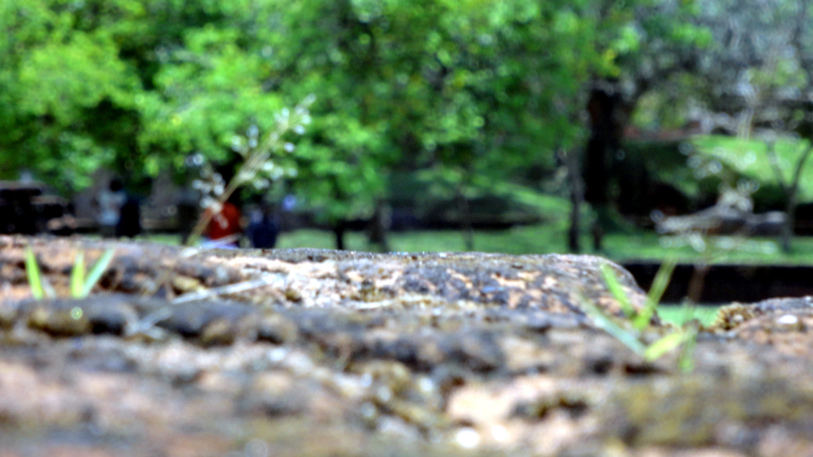 cielo, luce naturale, natura, costruzione, i raggi del sole